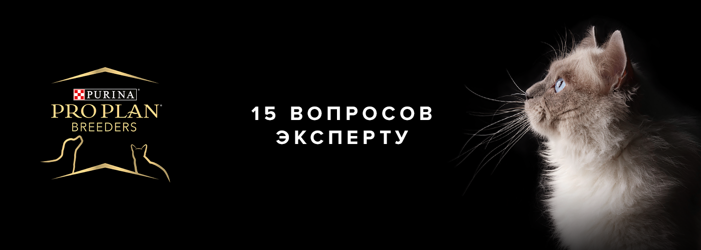 15 вопросов эксперту